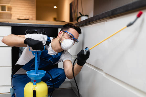 Best Cockroach Control Services  in Fetters Hot Springs Agua Liente, CA