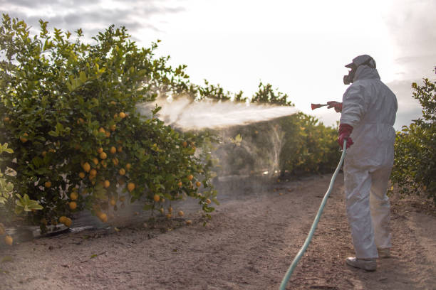 Pest Control for Restaurants in Fetters Hot Springs Agua Caliente, CA