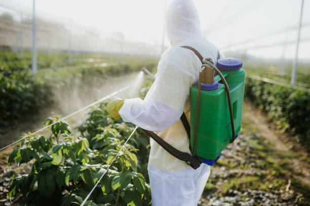 Best Pest Prevention Services  in Fetters Hot Springs Agua Liente, CA